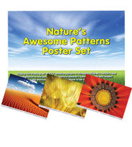 Natures Awesome Patterns Poster Set