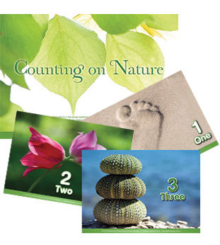 Counting on Nature Poster Set